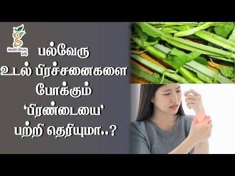 பிரண்டை செடியில் இவளோ மருத்துவ குணங்களா ?| HEALTH TIPS | |HEALTH GHURU TAMIL