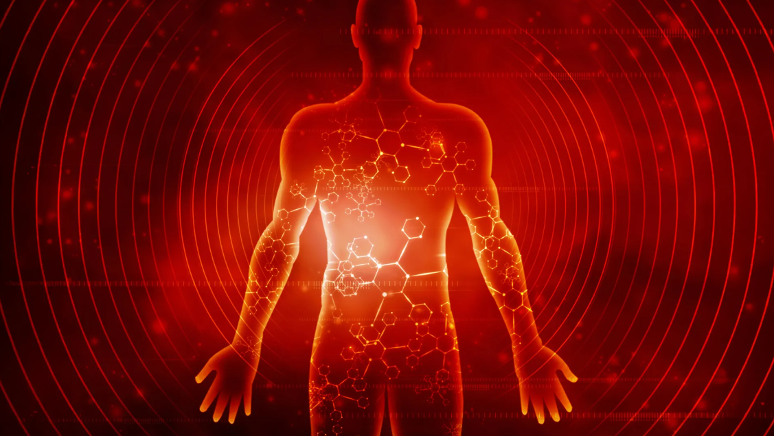 Scientists Investigate Major Changes in the Body During Seven Days of Fasting