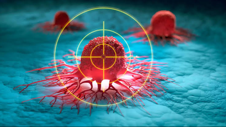 Scientists Explore a New Way to Produce Cancer-Fighting Immune Cells