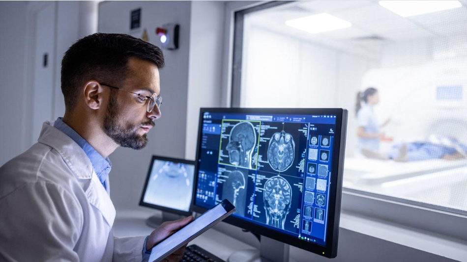 Researchers Identify a Possible Mechanism Behind Age-Related Cognitive Decline