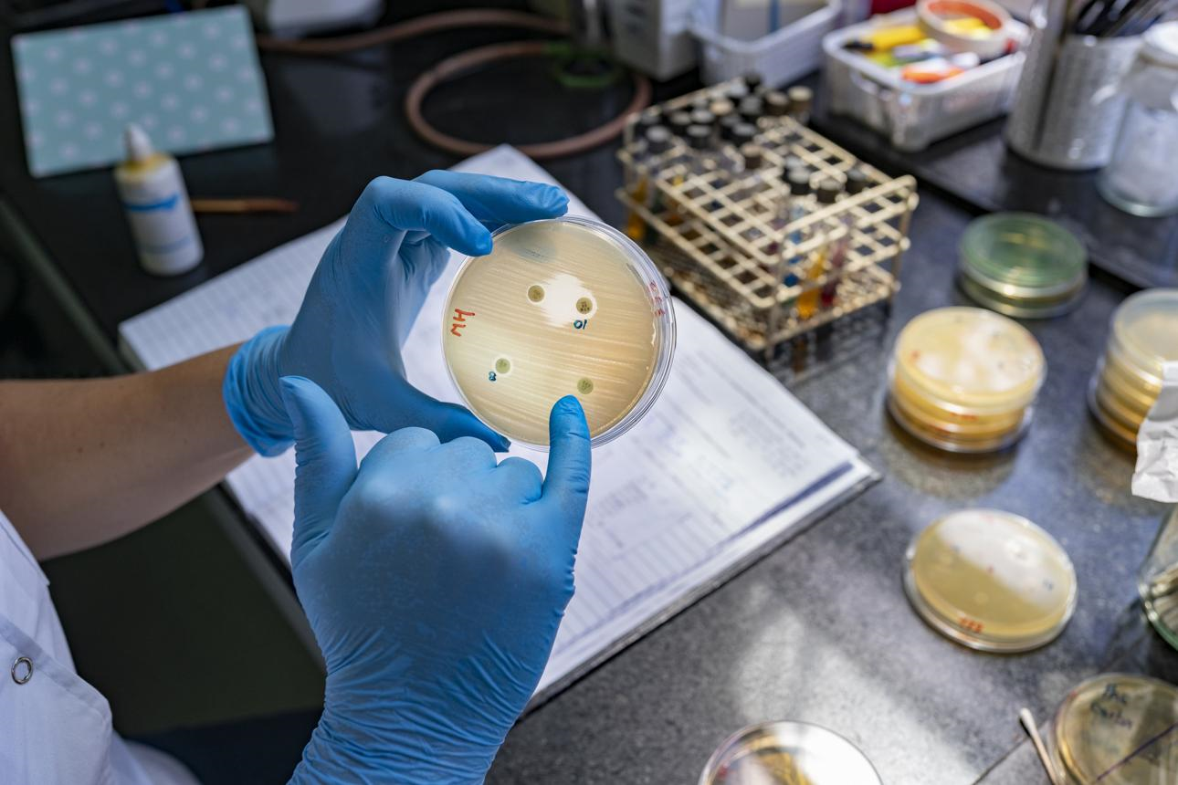 New Antibiotic Combination Shows Promise Against Drug-Resistant Bacterial Infections